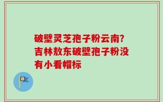 破壁灵芝孢子粉云南？吉林敖东破壁孢子粉没有小看帽标