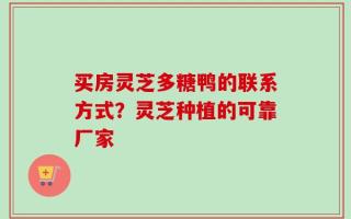 买房灵芝多糖鸭的联系方式？灵芝种植的可靠厂家