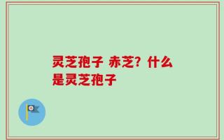灵芝孢子 赤芝？什么是灵芝孢子