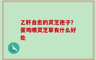乙肝自愈的灵芝孢子？蛋鸡喂灵芝草有什么好处
