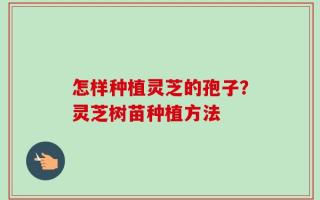 怎样种植灵芝的孢子？灵芝树苗种植方法