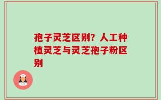 孢子灵芝区别？人工种植灵芝与灵芝孢子粉区别