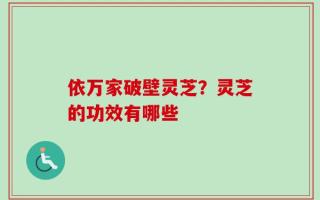 依万家破壁灵芝？灵芝的功效有哪些
