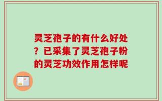 灵芝孢子的有什么好处？已采集了灵芝孢子粉的灵芝功效作用怎样呢