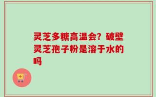 灵芝多糖高温会？破壁灵芝孢子粉是溶于水的吗