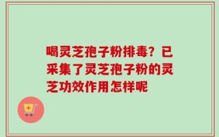 喝灵芝孢子粉排毒？已采集了灵芝孢子粉的灵芝功效作用怎样呢