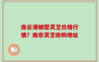 连云港破壁灵芝价格行情？南京灵芝收购地址