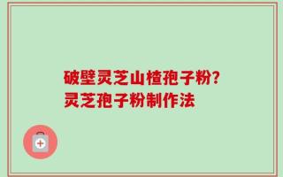 破壁灵芝山楂孢子粉？灵芝孢子粉制作法