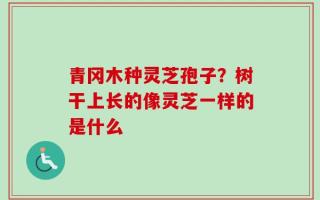 青冈木种灵芝孢子？树干上长的像灵芝一样的是什么
