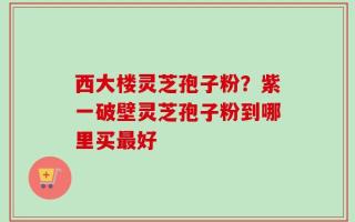 西大楼灵芝孢子粉？紫一破壁灵芝孢子粉到哪里买最好