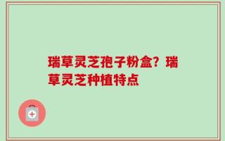 瑞草灵芝孢子粉盒？瑞草灵芝种植特点