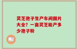 灵芝孢子生产车间图片大全？一亩灵芝能产多少孢子粉