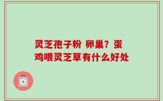 灵芝孢子粉 卵巢？蛋鸡喂灵芝草有什么好处