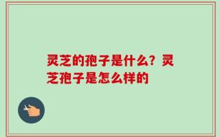 灵芝的孢子是什么？灵芝孢子是怎么样的