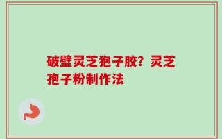破壁灵芝狍子胶？灵芝孢子粉制作法