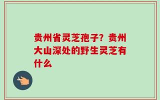贵州省灵芝孢子？贵州大山深处的野生灵芝有什么