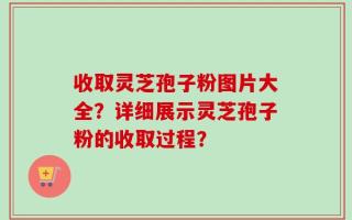 收取灵芝孢子粉图片大全？详细展示灵芝孢子粉的收取过程？