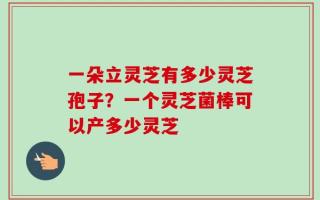 一朵立灵芝有多少灵芝孢子？一个灵芝菌棒可以产多少灵芝