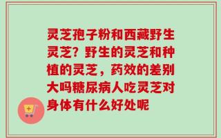 灵芝孢子粉和西藏野生灵芝？野生的灵芝和种植的灵芝，药效的差别大吗糖尿病人吃灵芝对身体有什么好处呢