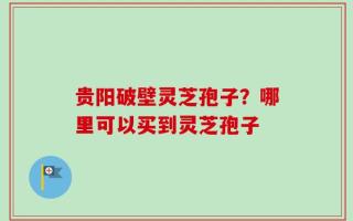 贵阳破壁灵芝孢子？哪里可以买到灵芝孢子