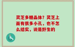 灵芝多糖晶体？灵芝上面有很多小孔，也不怎么结实，说是野生的