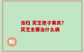 当归 灵芝孢子黄芪？灵芝主要治什么病