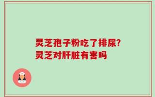 灵芝孢子粉吃了排尿？灵芝对肝脏有害吗