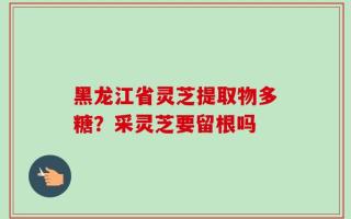 黑龙江省灵芝提取物多糖？采灵芝要留根吗