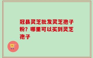 冠县灵芝批发灵芝孢子粉？哪里可以买到灵芝孢子