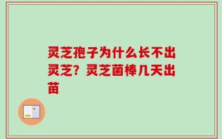 灵芝孢子为什么长不出灵芝？灵芝菌棒几天出苗