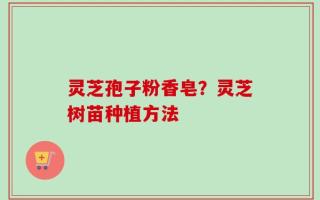 灵芝孢子粉香皂？灵芝树苗种植方法