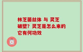 林芝菌丝体 与 灵芝破壁？灵芝是怎么来的它有何功效