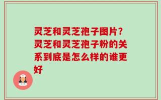 灵芝和灵芝孢子图片？灵芝和灵芝孢子粉的关系到底是怎么样的谁更好