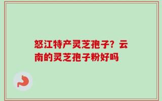 怒江特产灵芝孢子？云南的灵芝孢子粉好吗