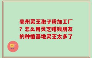 亳州灵芝孢子粉加工厂？怎么用灵芝赚钱朋友的种植基地灵芝太多了