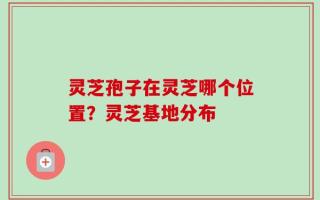 灵芝孢子在灵芝哪个位置？灵芝基地分布