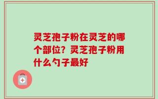 灵芝孢子粉在灵芝的哪个部位？灵芝孢子粉用什么勺子最好