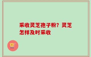 采收灵芝孢子粉？灵芝怎样及时采收