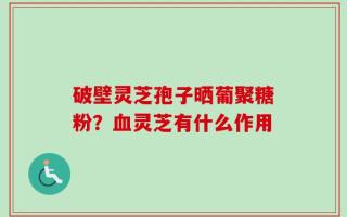 破壁灵芝孢子晒葡聚糖粉？血灵芝有什么作用