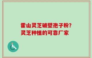 霍山灵芝破壁孢子粉？灵芝种植的可靠厂家