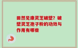 田然见康灵芝破壁？破壁灵芝孢子粉的功效与作用有哪些