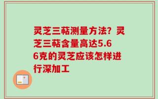 灵芝三萜测量方法？灵芝三萜含量高达5.66克的灵芝应该怎样进行深加工