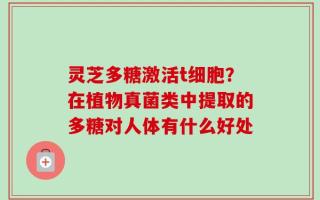 灵芝多糖激活t细胞？在植物真菌类中提取的多糖对人体有什么好处