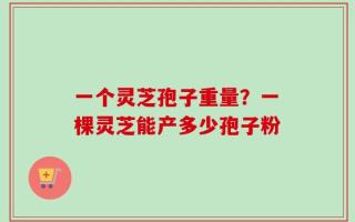 一个灵芝孢子重量？一棵灵芝能产多少孢子粉