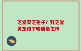 芝堂灵芝孢子？野芝堂灵芝孢子粉质量怎样