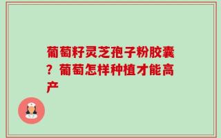 葡萄籽灵芝孢子粉胶囊？葡萄怎样种植才能高产