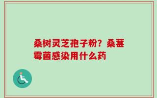 桑树灵芝孢子粉？桑葚霉菌感染用什么药
