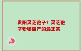 贵阳灵芝孢子？灵芝孢子粉哪里产的最正宗