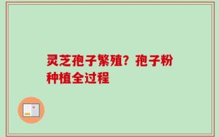 灵芝孢子繁殖？孢子粉种植全过程