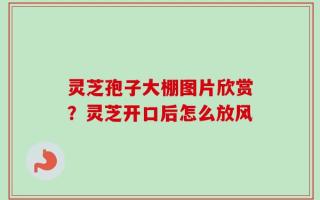 灵芝孢子大棚图片欣赏？灵芝开口后怎么放风